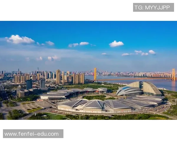 武汉乒乓球队的节奏与风采探秘：从训练到比赛的全景观察